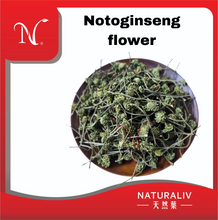 Load image into Gallery viewer, Notoginseng flower 田七花