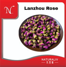 Load image into Gallery viewer, Lanzhou Rose 兰州玫瑰