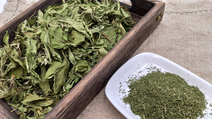 【草药知识】 甜菊叶