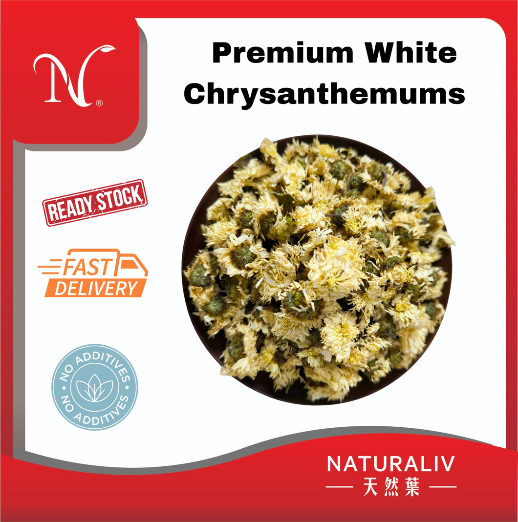 Premium White Chrysanthemums 精选贡菊花