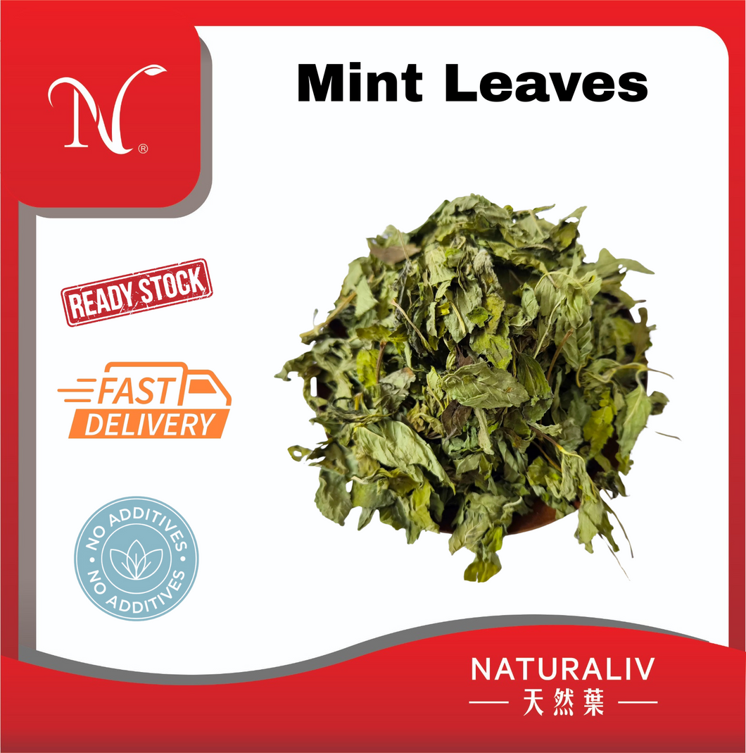 Mint Leaves 薄荷叶